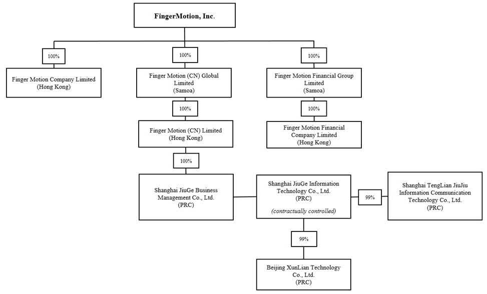FingerMotion company structure