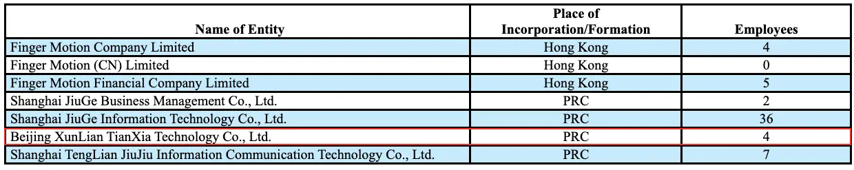 FingerMotion employee counts from 2022 10K