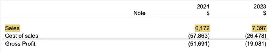 No revenue in 2023 and 2024