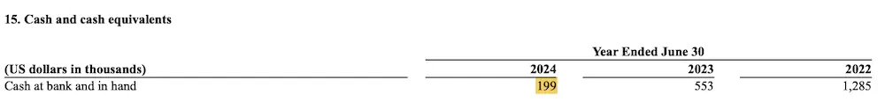 VVPR FY2024 cash