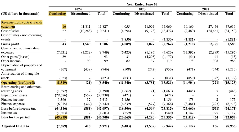 VVPR FY2024 Income